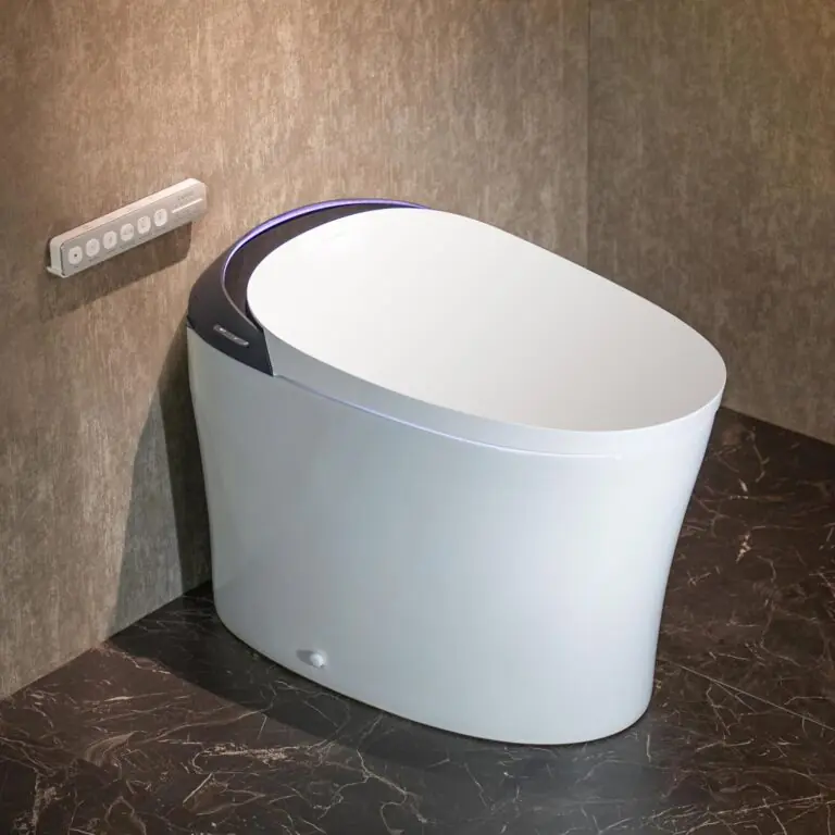 CANEST Smart Toilet Review: Honest Pros & Cons 30 Image 1 of CANEST smart toilet review