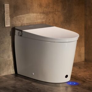 Image 1 of CASTA DIVA smart toilet CD-K030 review