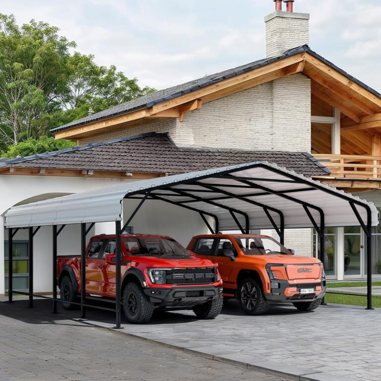 Image 1 of Shintenchi 20x20 FT Metal Carport review
