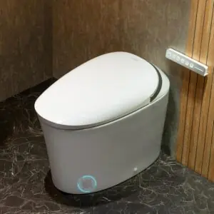 Image 1 of CANEST TC-500PRO smart toilet review